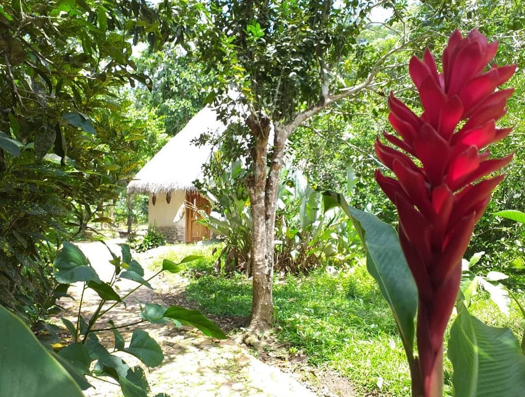 Exclusividad natural: Venta de lodge rodeado de árboles y río en Tarapoto